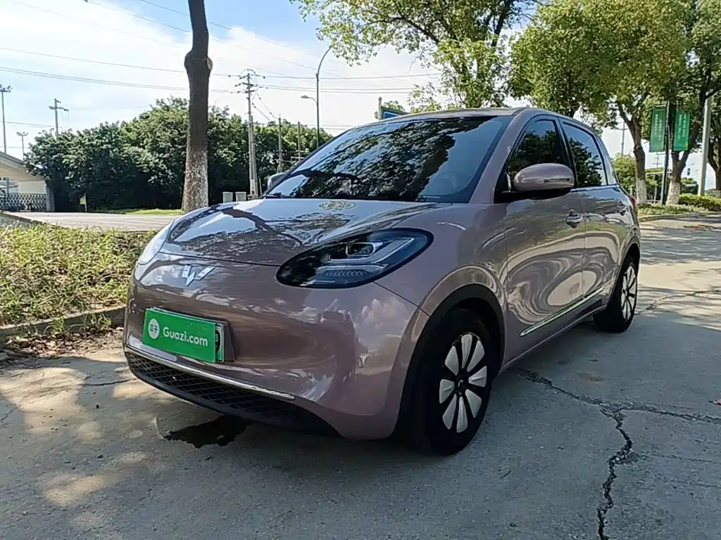  Wuling Motors Wuling Bingo 2023 203km Comfort Version