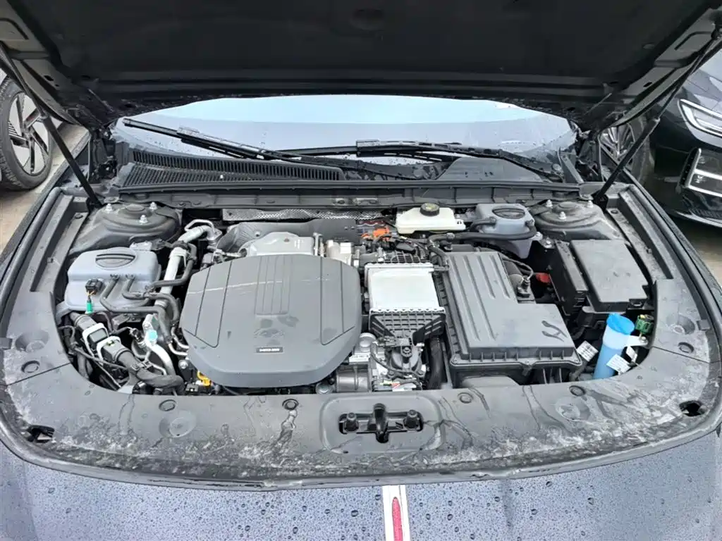 Hongqi H5 PHEV 2025 130 Super Hybrid Edition фото 20