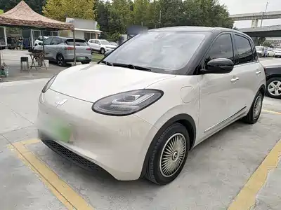 Wuling Bingo