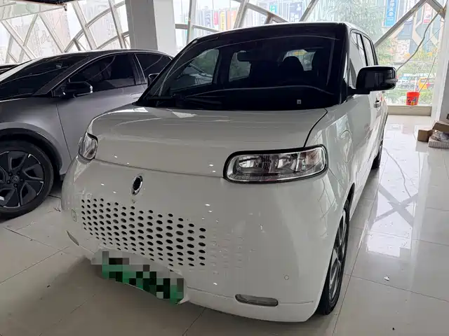 Ora White Cat 2020 401km Flagship Model