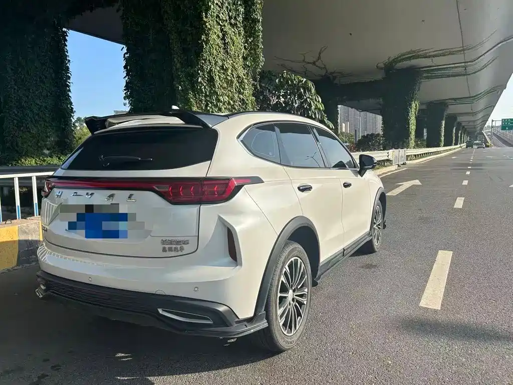Haval Chitu 2023 2023 1.5T Dynamic