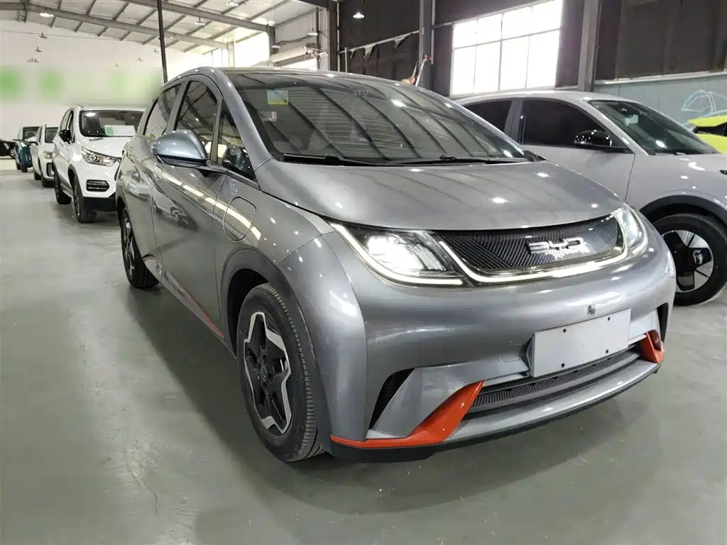 BYD Dolphin 2021 Model 405km Fashion Edition фото 22