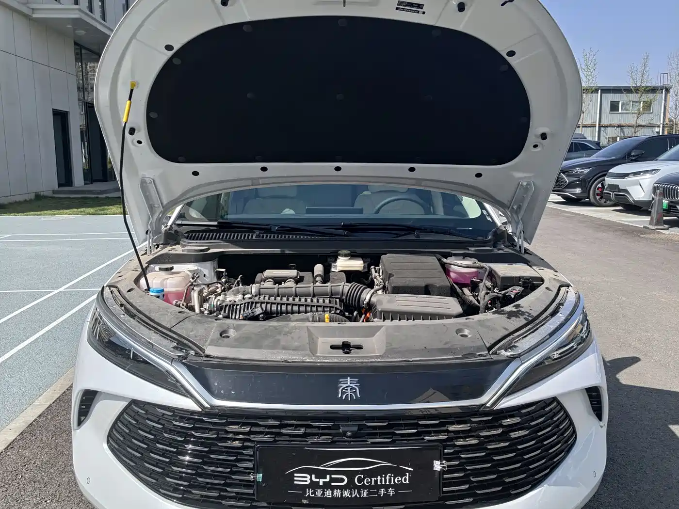 BYD Qin L 2024 DM-i 120KM Leading фото 2
