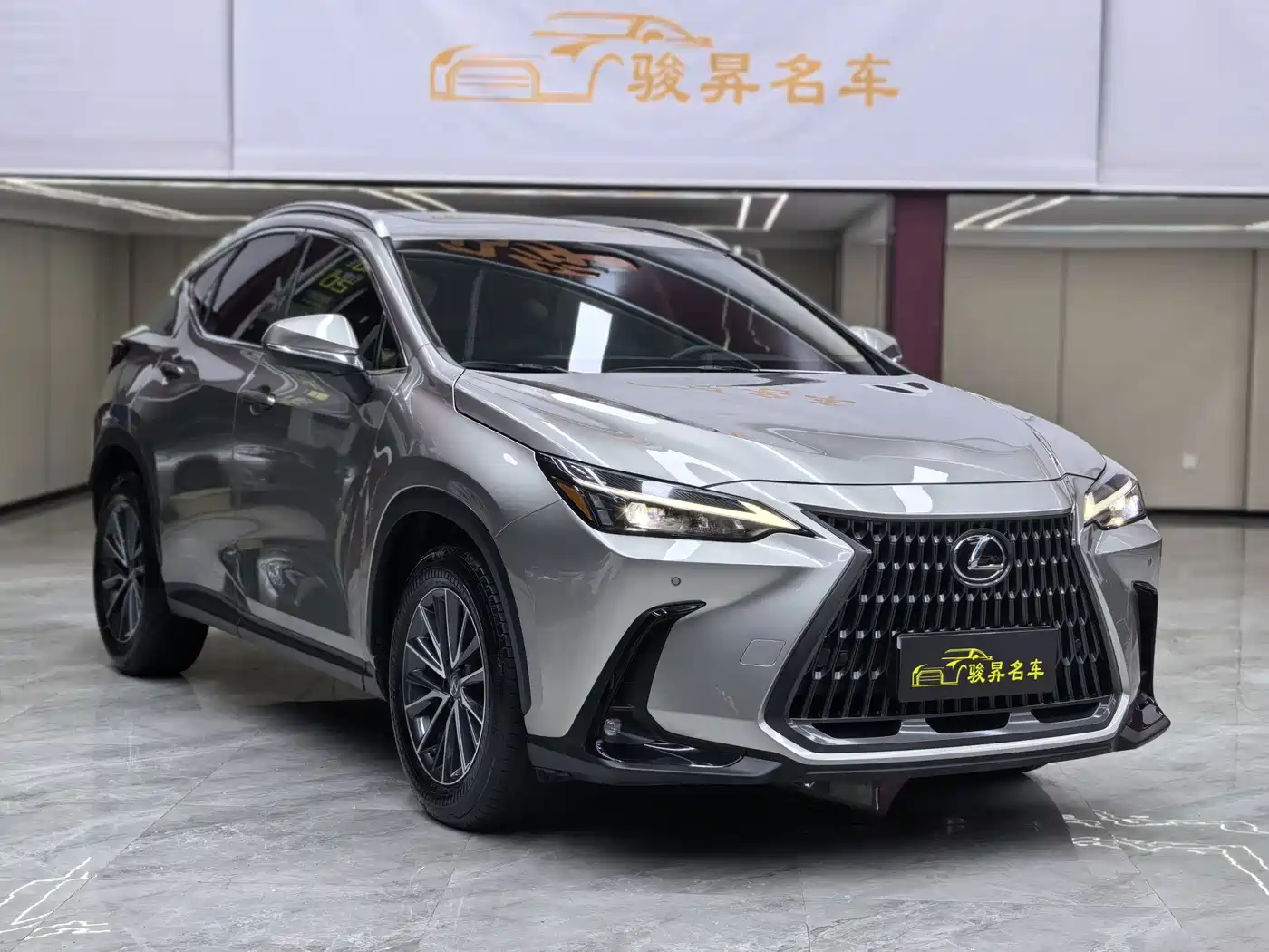 Lexus NX 2024 2024 260 FWD Joy Creation Edition