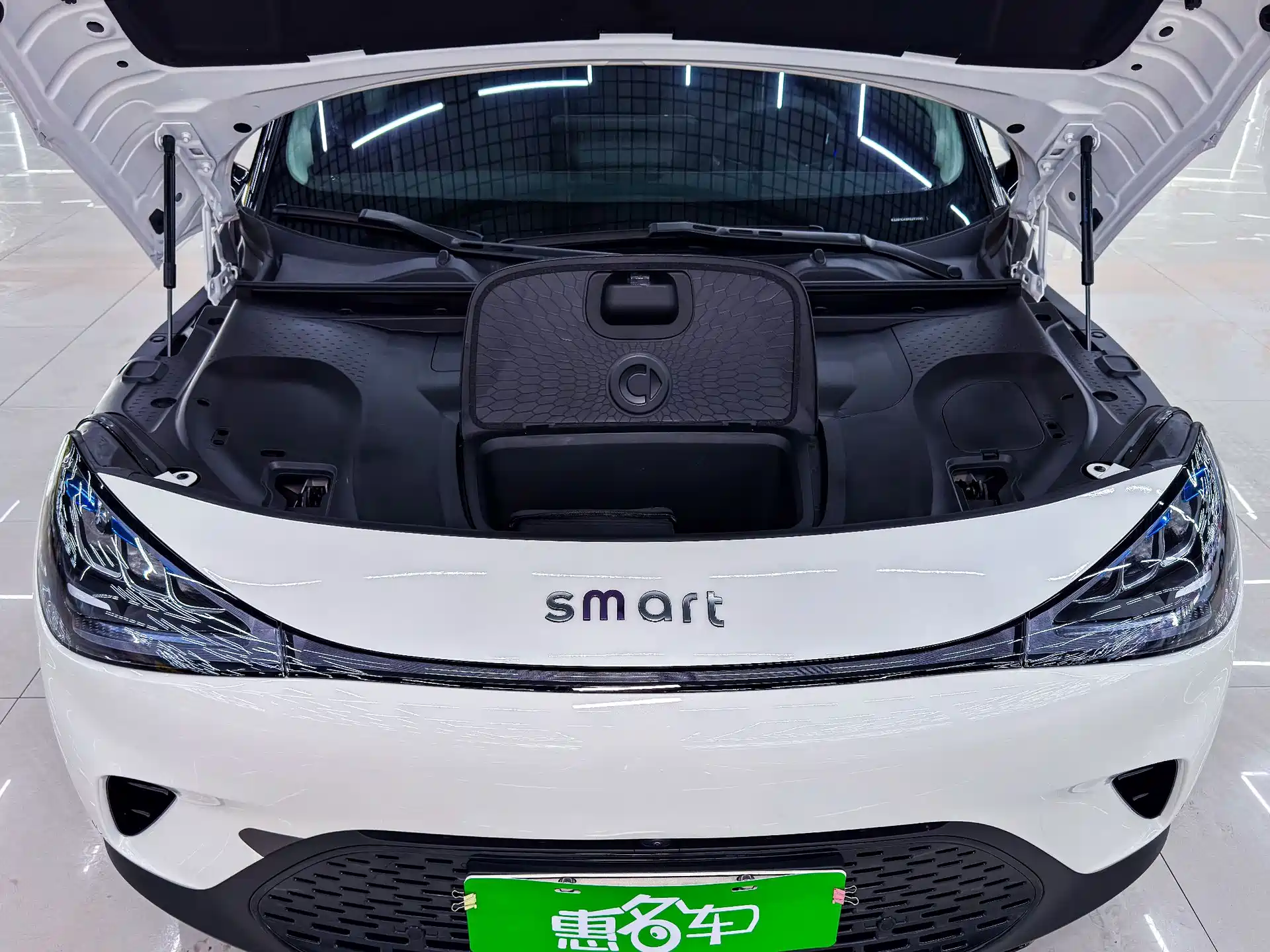 Фото 12 - smart Elf #1
