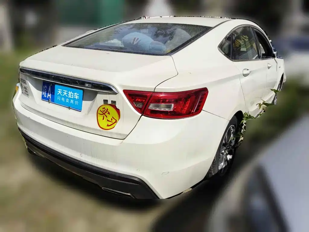 Фото 2 - Geely Borui
