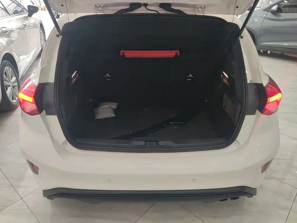 Ford Focus 2023 2022 Hatchback EcoBoost 180 Automatic ST Line