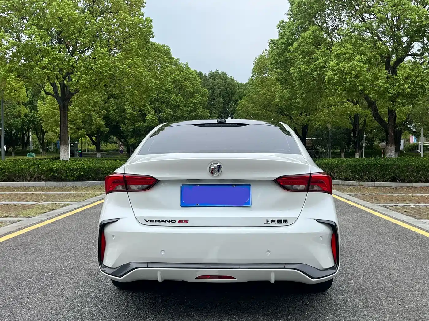 BUICK WEILANG