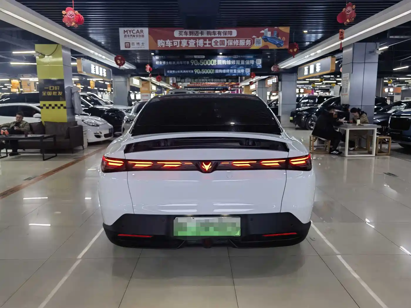 ARCFOX EXTREME FOX POLAR FOX ALPHA S5