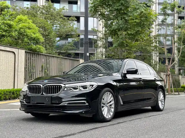 BMW 5 Series New Energy 2020 530Le Luxury Package — фото 1