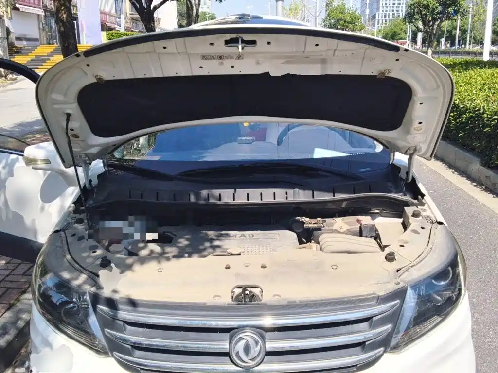 صورة 11 - Dongfeng Fengxing Jingyi X5