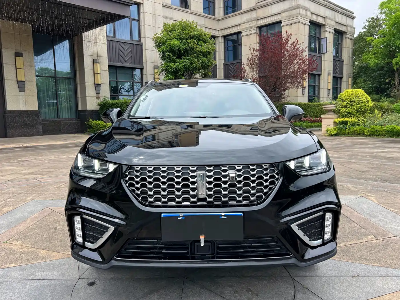 WEI PAI WEI BRAND VV5