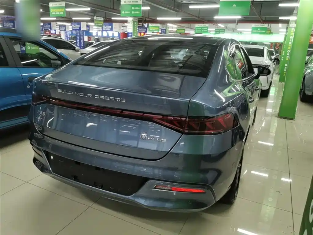 BYD Qin PLUS 2024 Glory Edition DM-i 55KM Leading фото 7