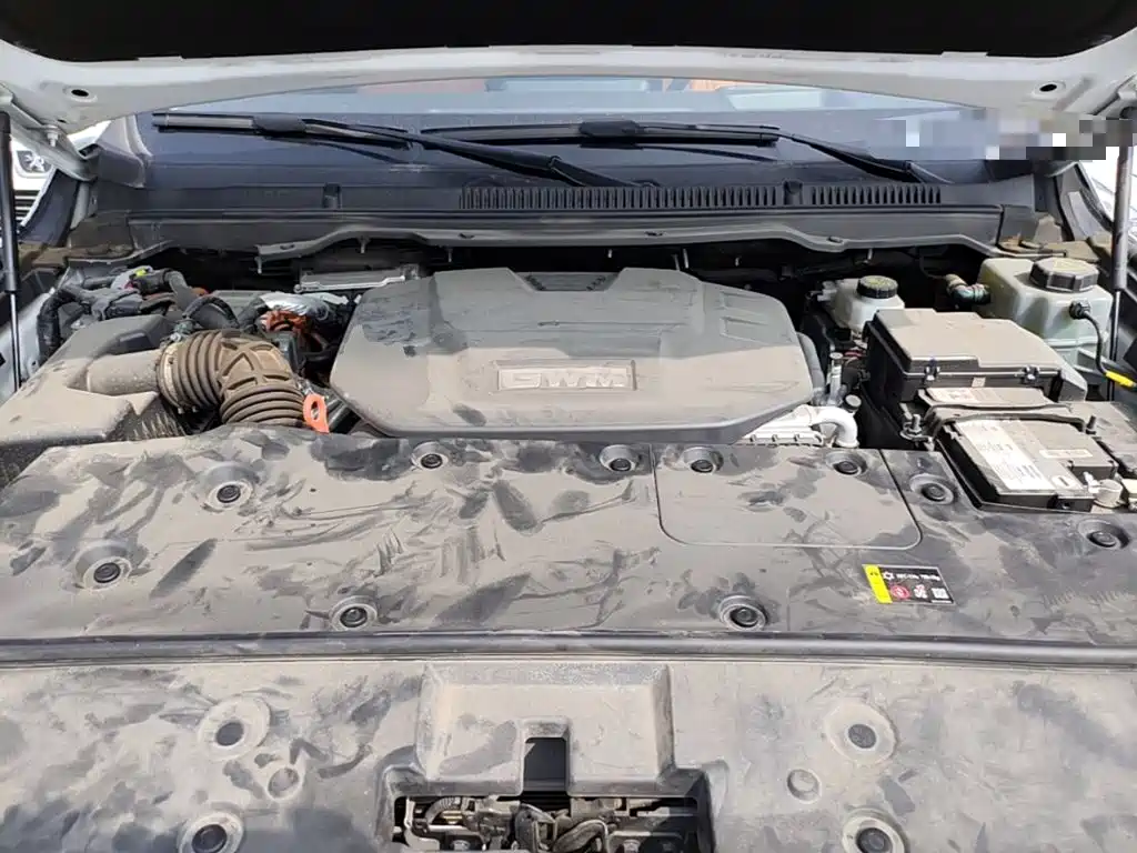 Фото 25 - Tank 500 EV