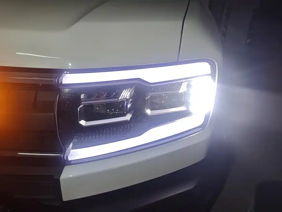 FANG CHENG BAO LEOPARD 5