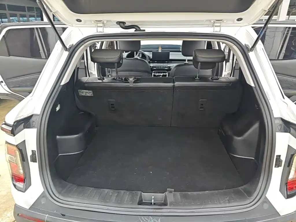 Baojun RS-3 2019 2020 1.5L CVT 24-hour Online Elite Model