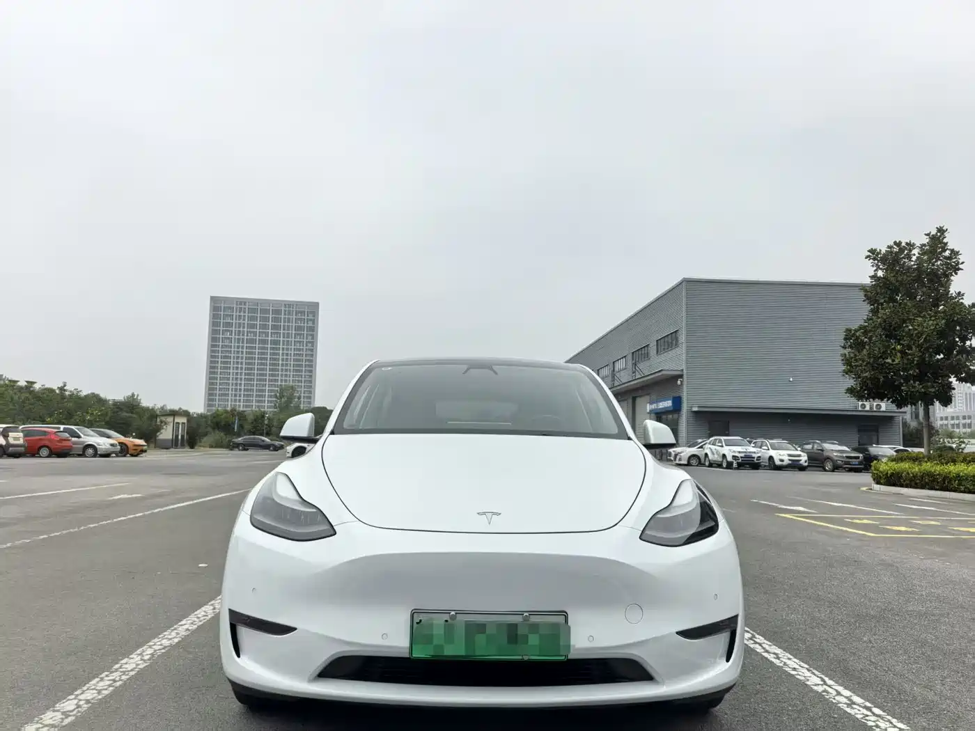 TESLA MODEL Y