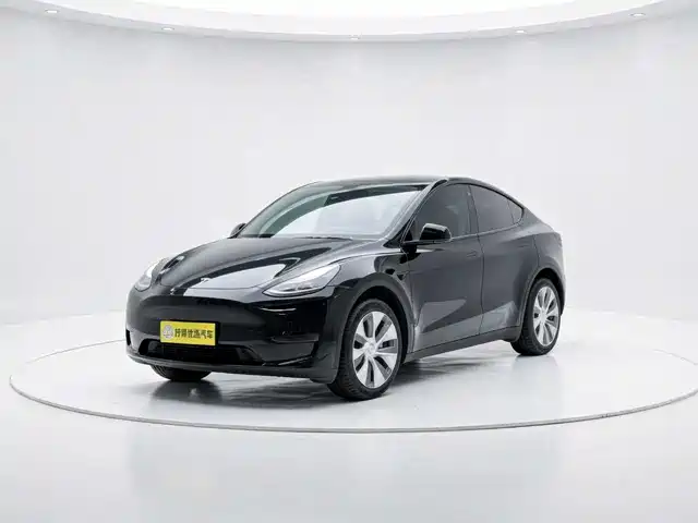 Tesla Model Y Задний привод