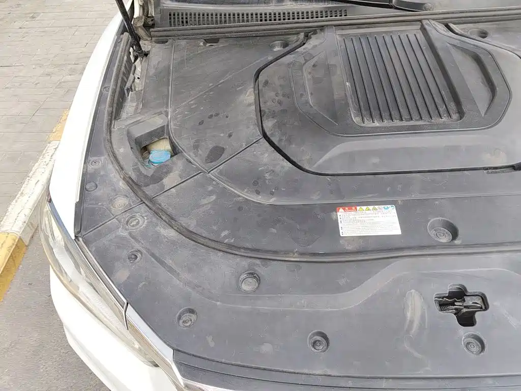 BYD Song Pro New Energy 2021 2019 DM 1.5T 4WD Performance Luxury