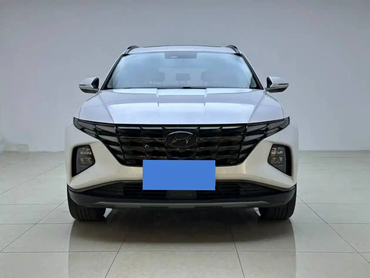 Hyundai Tucson 2021 Tucson L 1.5T DCT LUX Premium фото 2