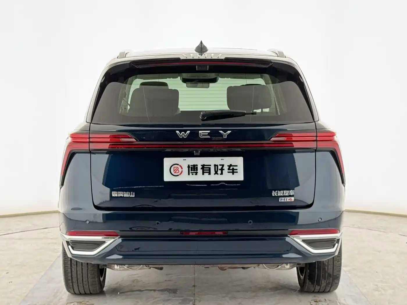 WEI PAI WEI BRAND BLUE MOUNTAIN