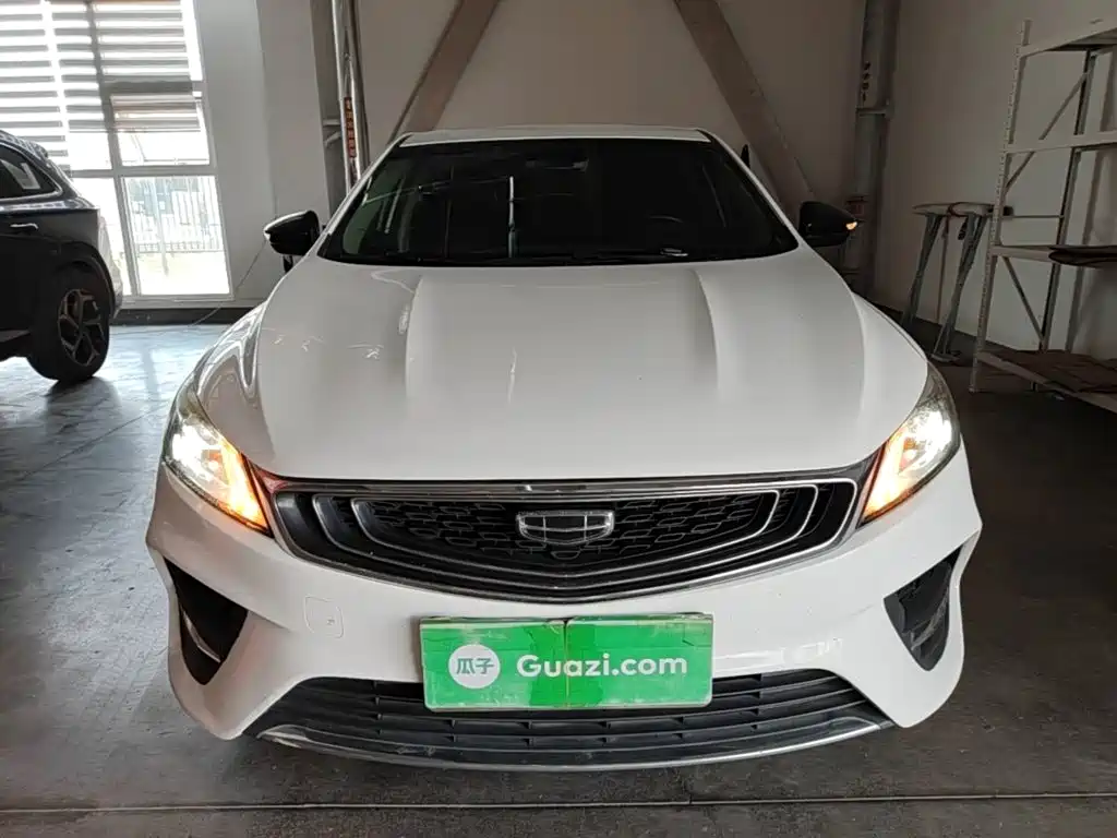 Geely Binrui 2019 2019 200T DCT Binzhi Edition