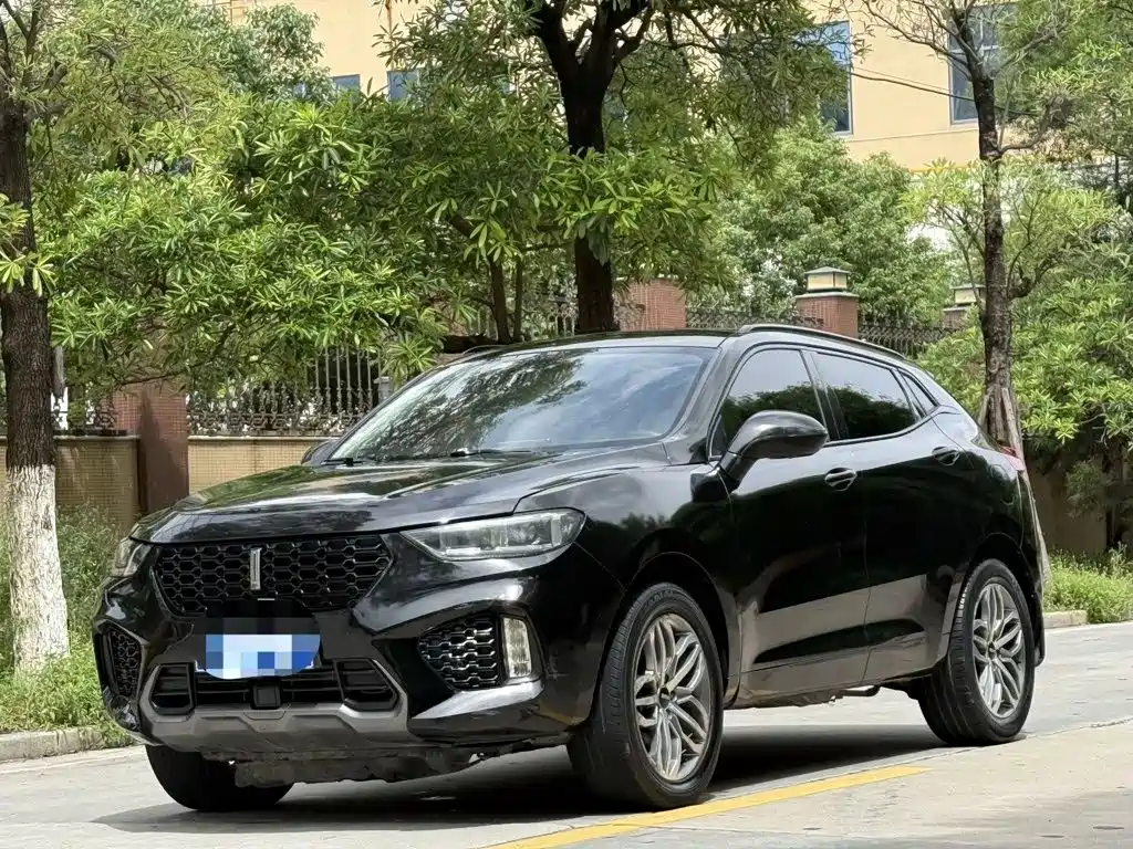 WEY VV5 2018 2017 2.0T Super Luxury Model