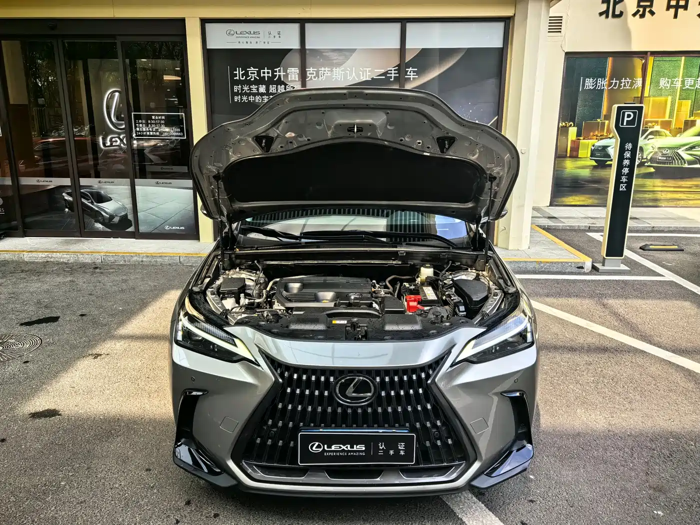 Lexus NX 2023 2022 260 FWD Innovation Edition