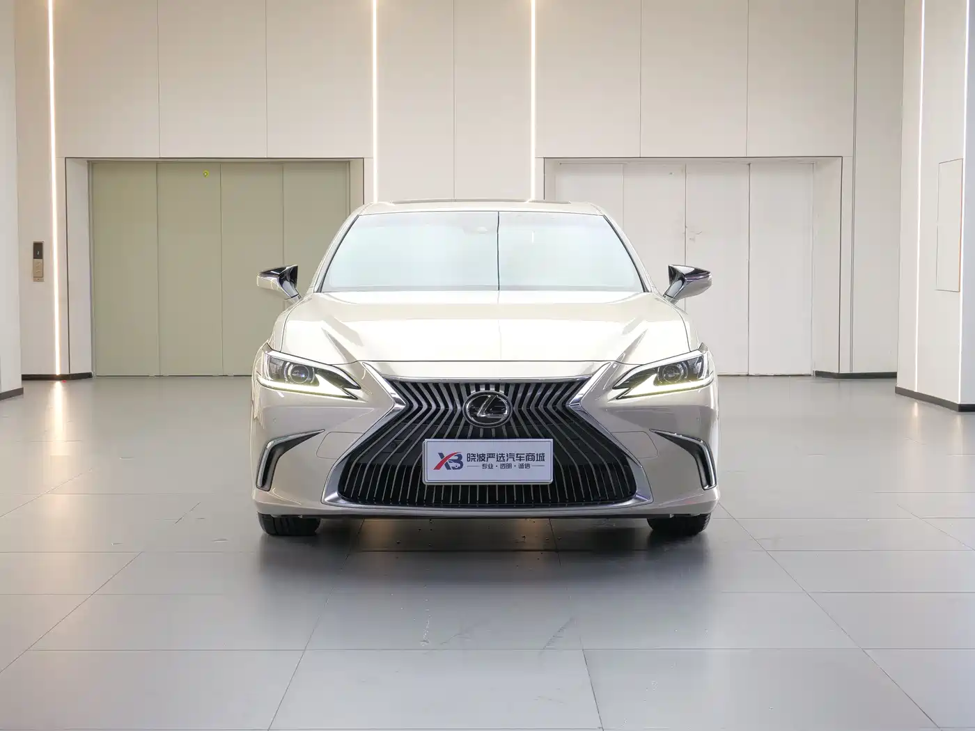 Lexus ES 2020 Model 260 Excellence Edition China V фото 2