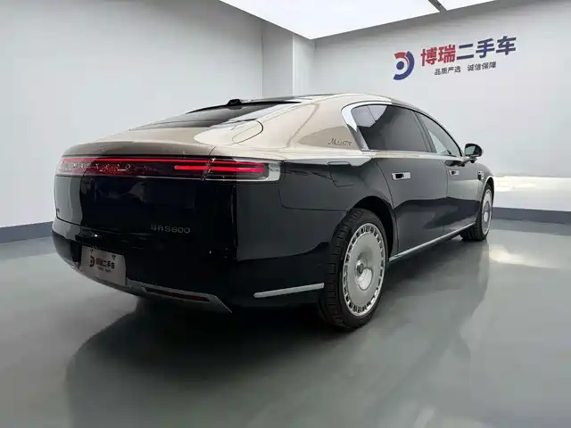 Zunjie S800 2025 Model Extended Range Starlight Executive Edition 4-seater — фото 5