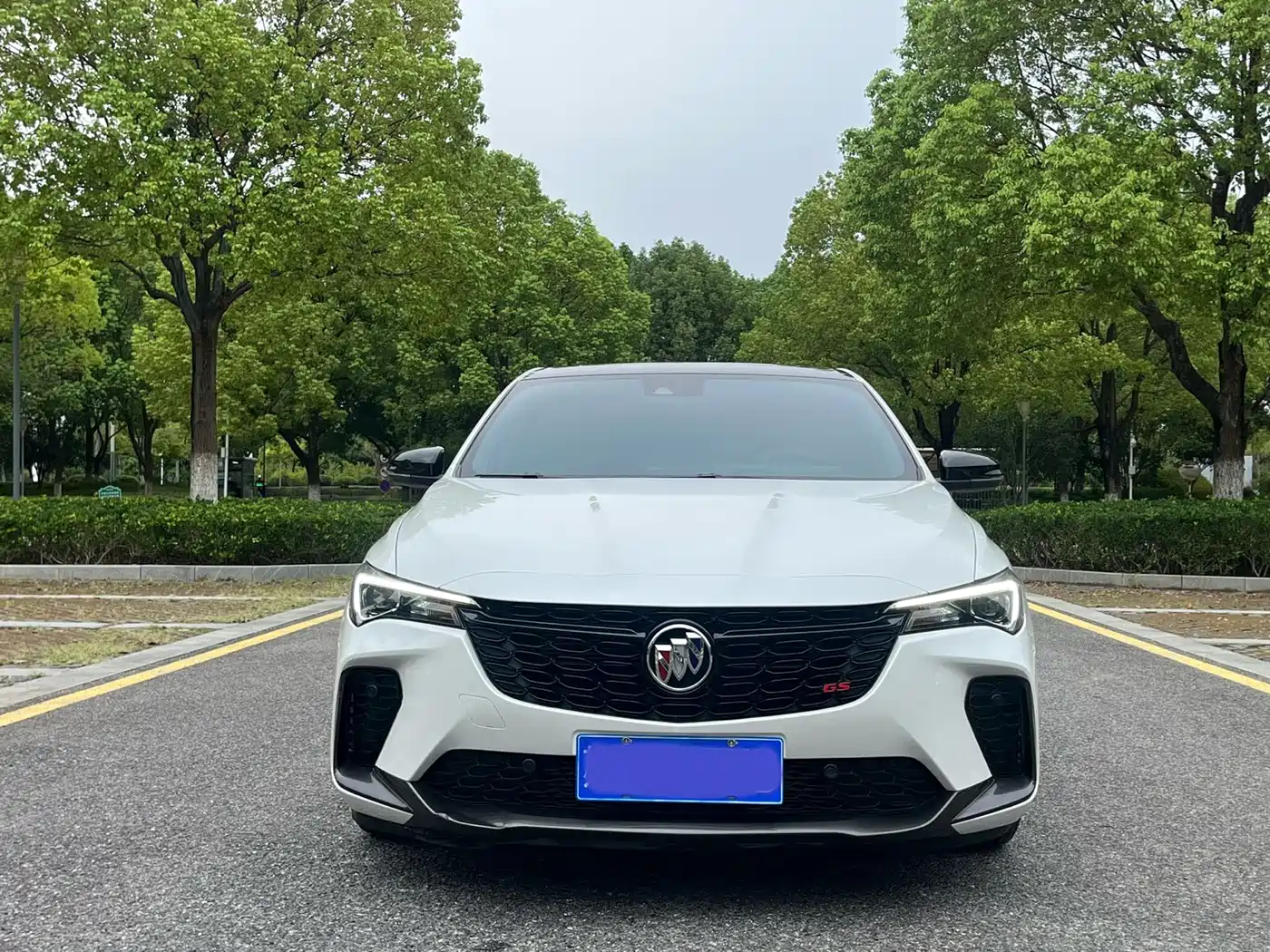 BUICK WEILANG