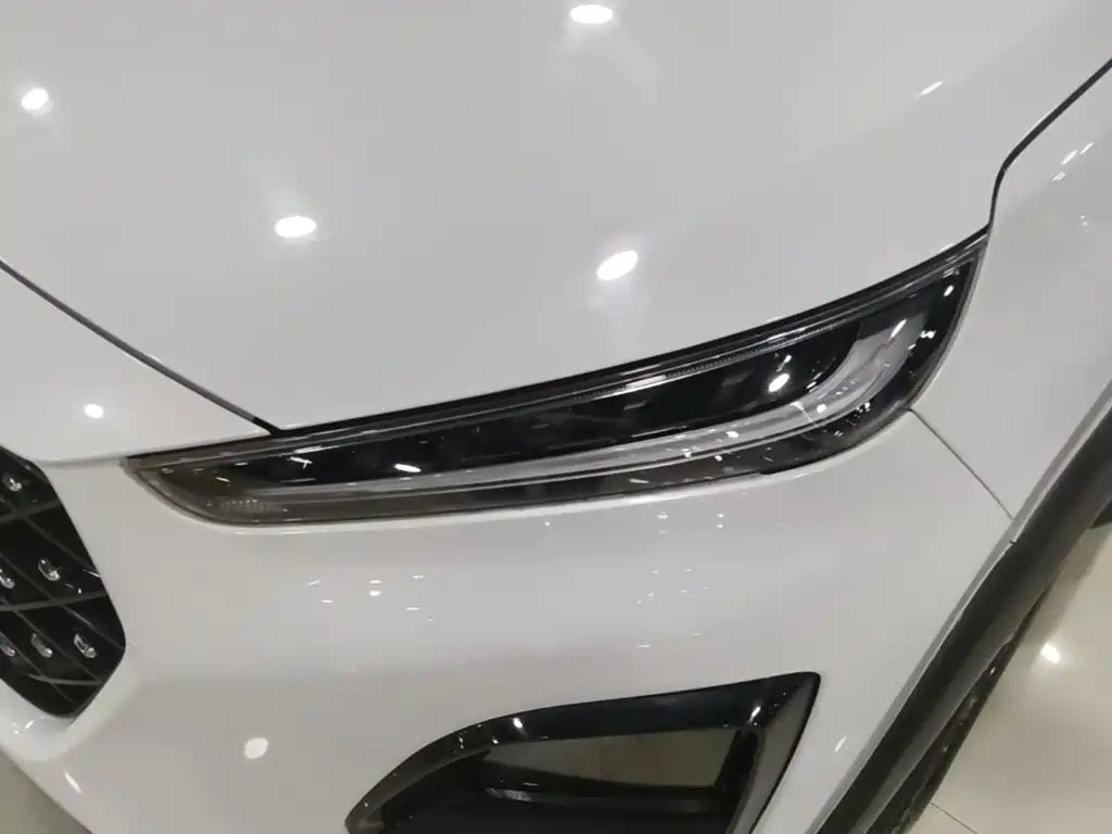 Chery Tiggo 3x 2024 2024 1.5L CVT Excellence