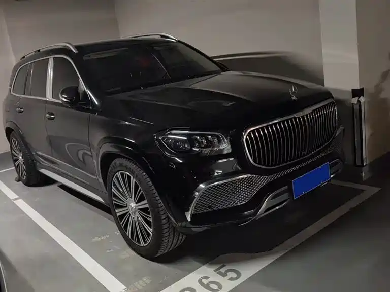 Mercedes-Benz Maybach GLS 2022 GLS 480 4MATIC фото 2