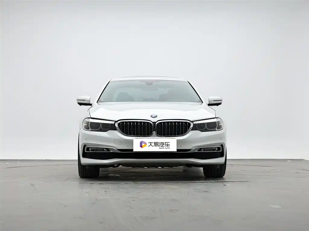 BMW 5 Series 2018 530Li Leading Luxury Package фото 2