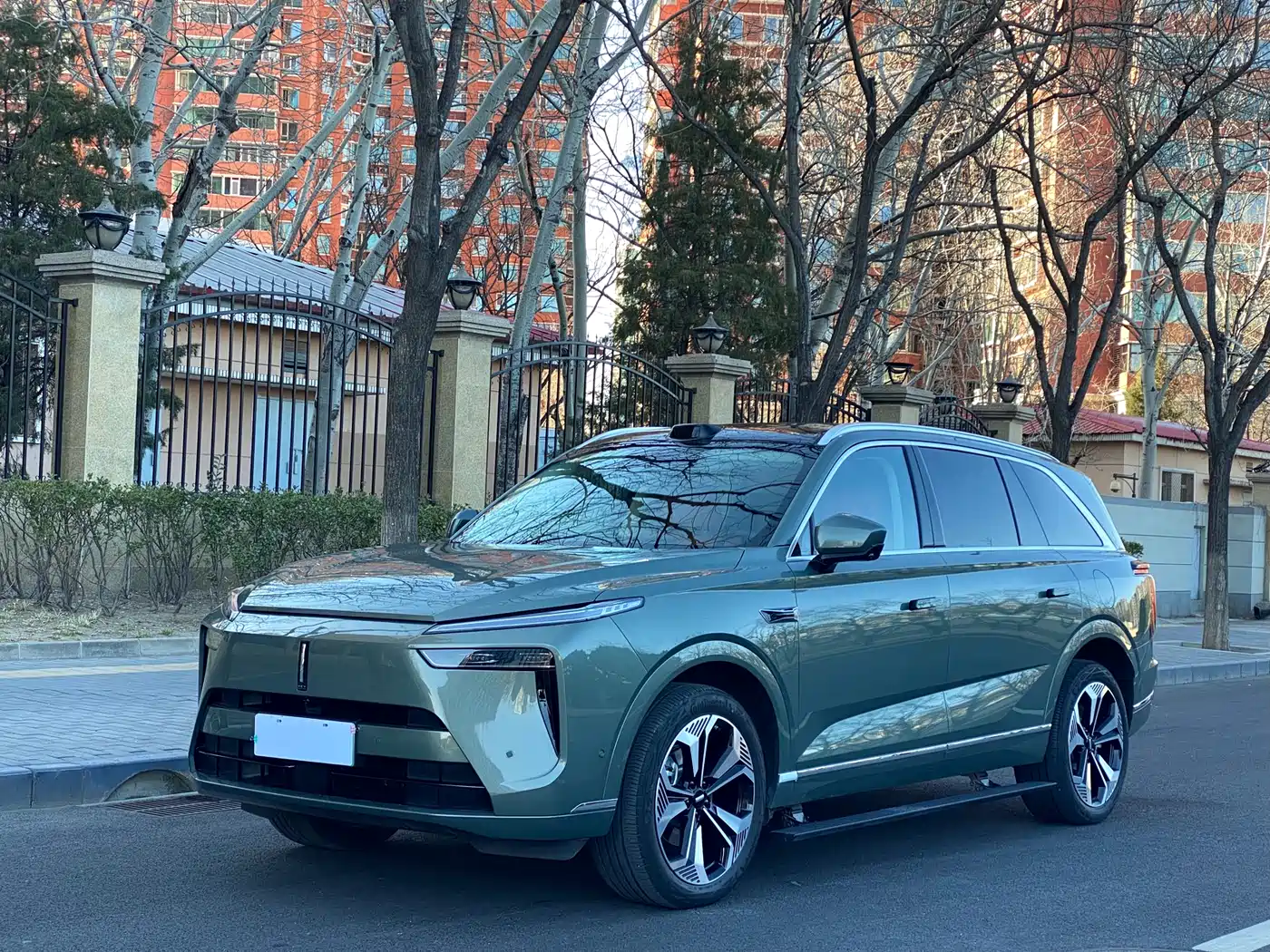 WEI PAI WEI BRAND BLUE MOUNTAIN