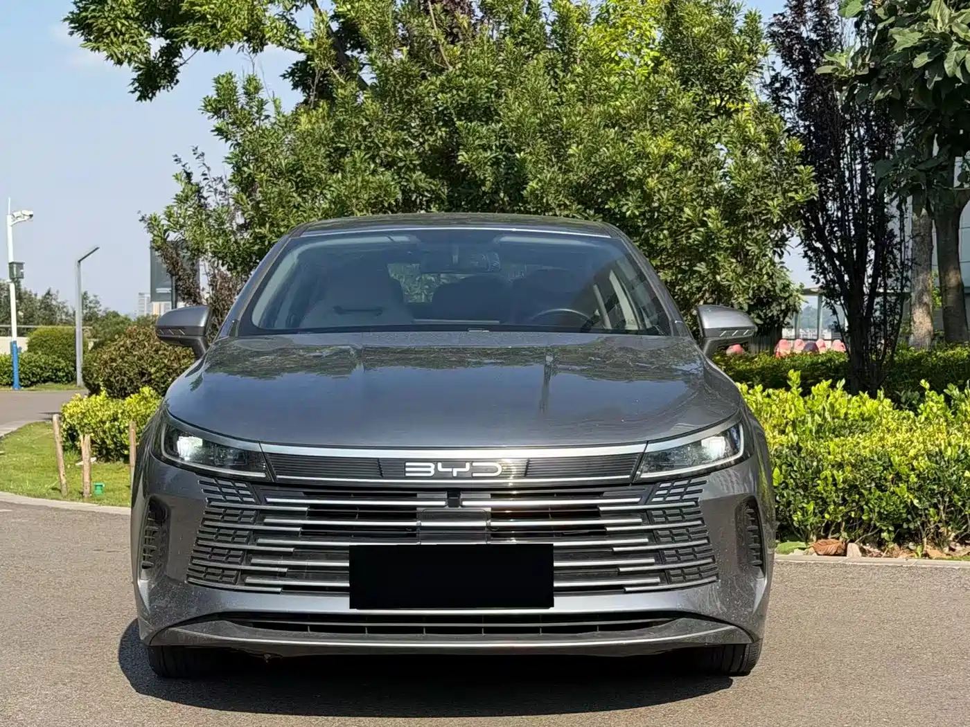 Фото 2 - BYD Qin PLUS