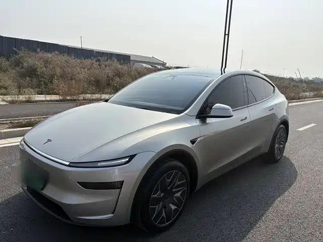 Tesla Model Y L, фото 1