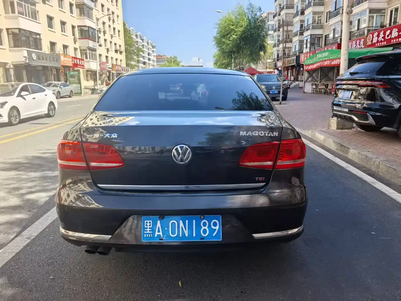 Volkswagen Magotan 2013 2013 1.8TSI Leading