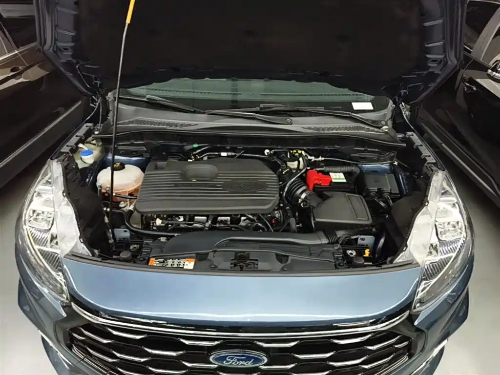 FORD RUIJI