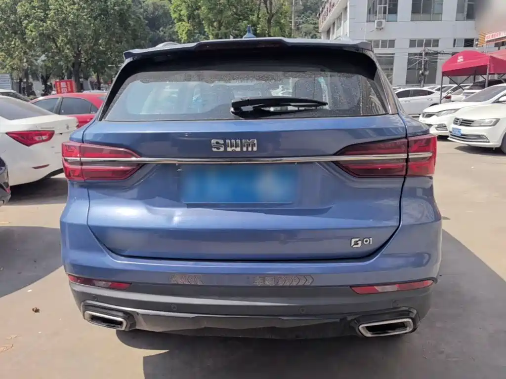 Фото 6 - SWM Motor SWM G01