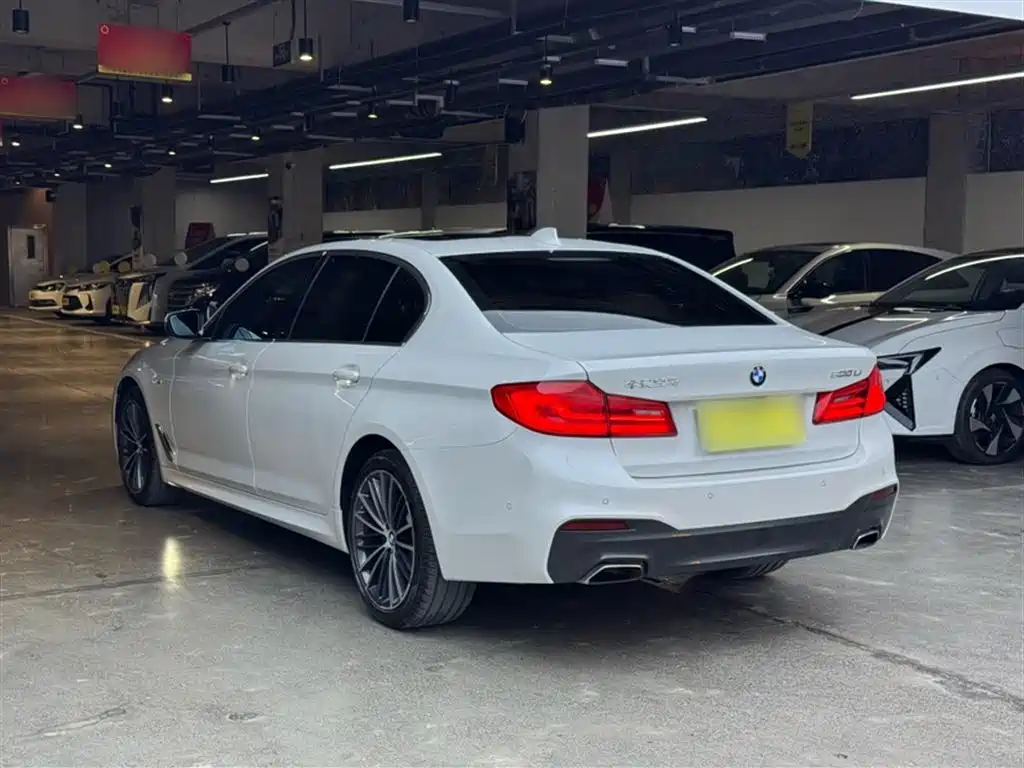 BMW 5 Series 2020 530Li Exclusive M Sport Package фото 6