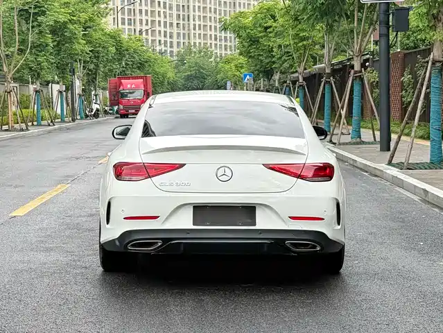 Mercedes-Benz CLS 2022 CLS 300 Dynamic — фото 3