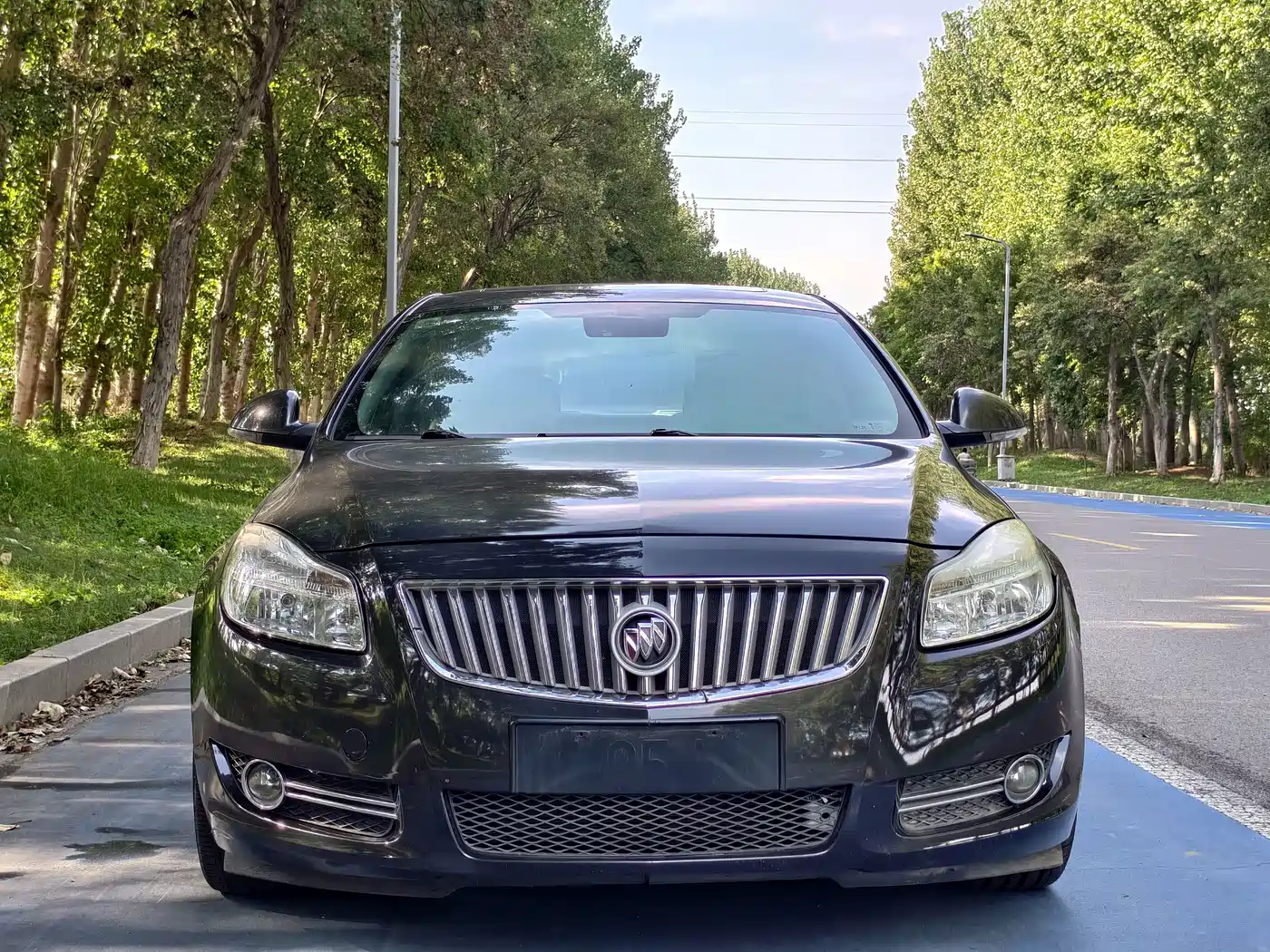 Buick Regal 2009 2009 Model 2.4L Elite Edition