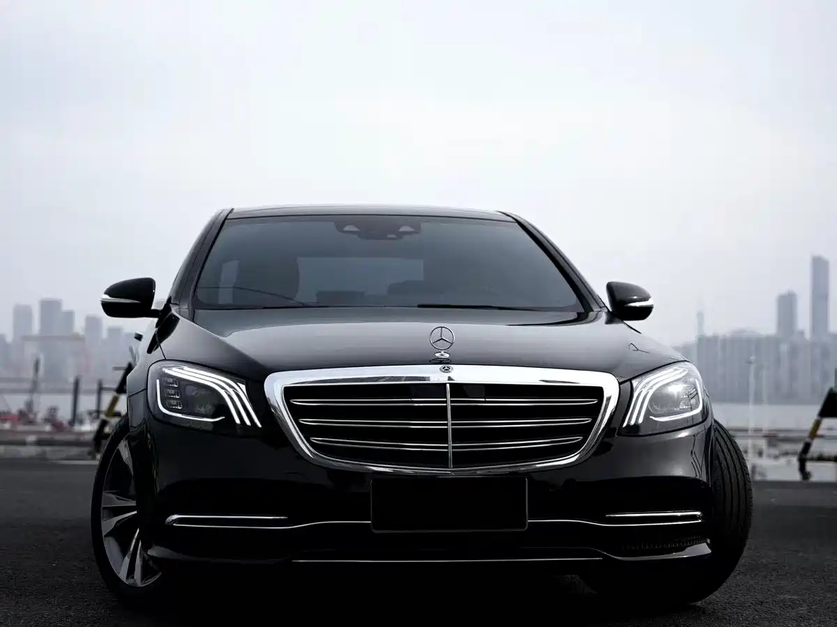 Mercedes-Benz S-Class 2020 S 350 L Premium Edition Collector's Version фото 3