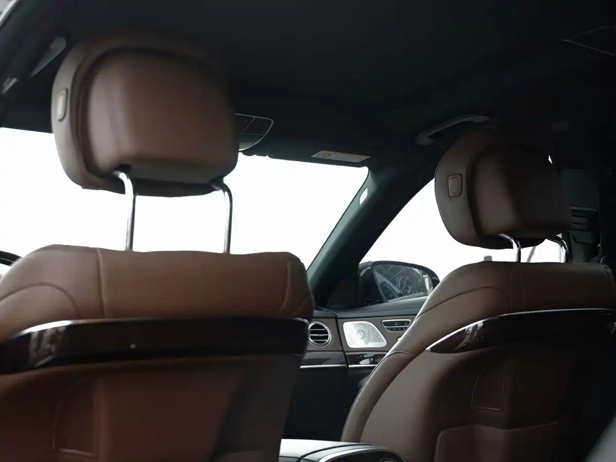 Mercedes-Benz S-Class 2020 S 350 L Premium Edition Collector's Version фото 7