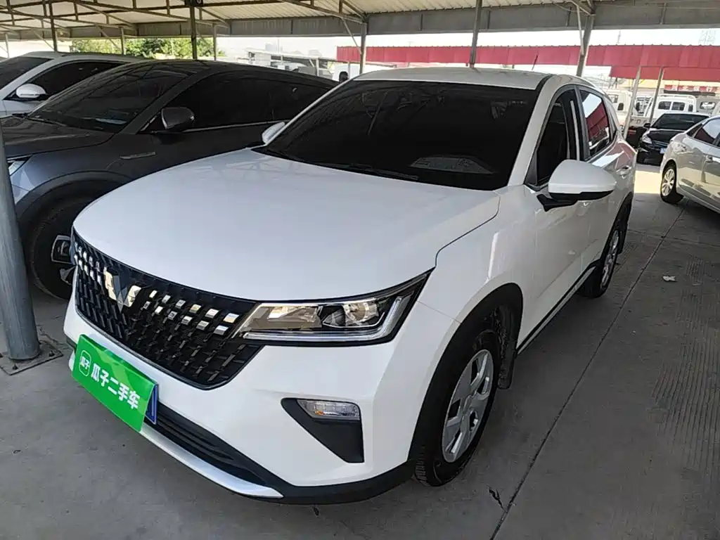 Wuling Motors Wuling Xingchi 2024 2022 1.5L Manual Freedom Edition