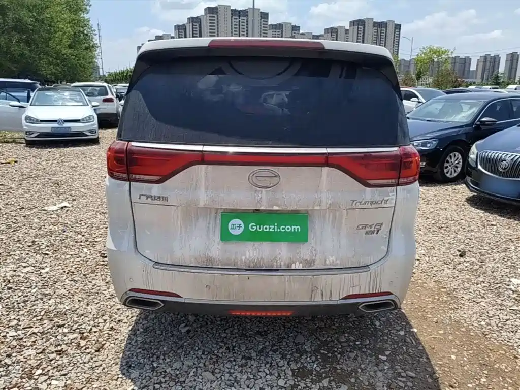 GAC Trumpchi Trumpchi M8 2018 320T Exclusive Edition фото 6