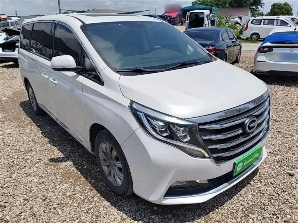 GAC Trumpchi Trumpchi M8 2018 320T Exclusive Edition фото 4