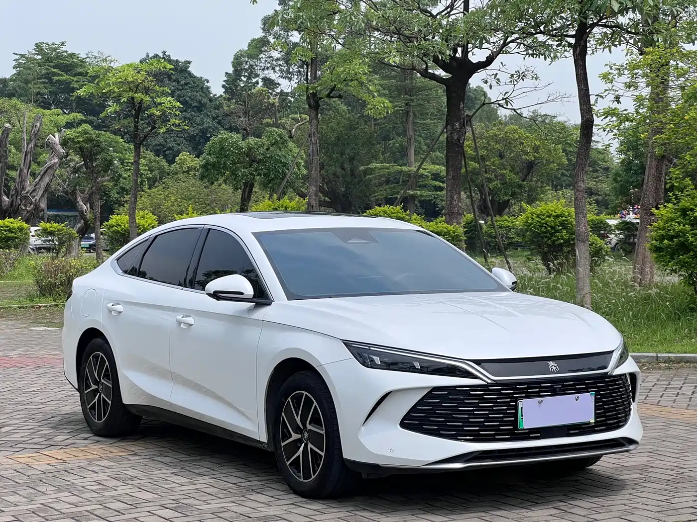 BYD Qin L 2024 DM-i 120KM Superior Edition фото 3