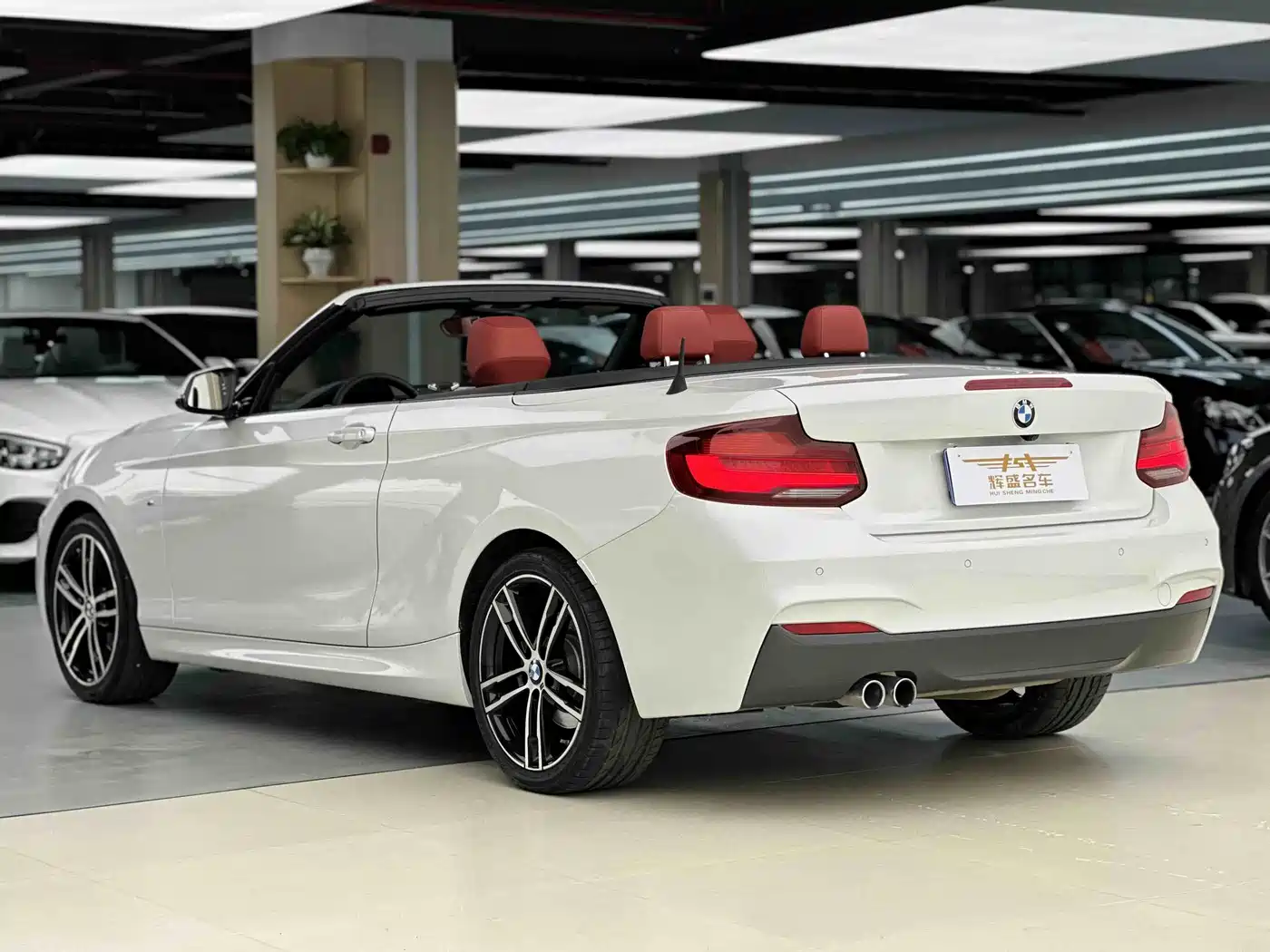 BMW 2 Series (Import) 2019 225i Convertible Coupe Exclusive M Sport Package фото 3